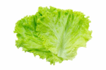Салат листовой