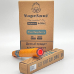 VAPE SOUL 4000