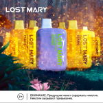 LOST MARY OS4000