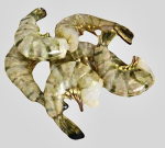 Креветка в панцире б/г 16/20 450 гр