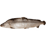 Муксун свежемороженый, кг