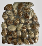 Клемы Вонголе в/м 500 гр