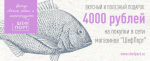 Сертификат на 4000р